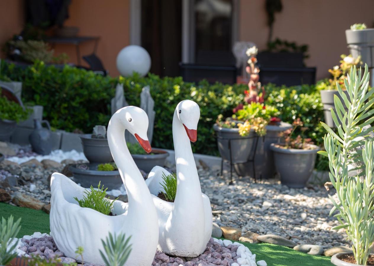 House Toula Elegant Apartment Sarti Exterior photo